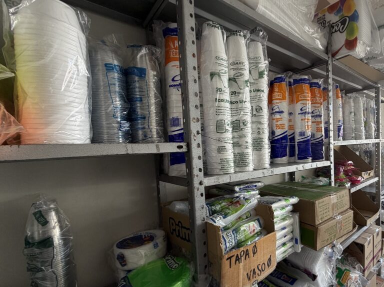 Imagen 20 10 25 a las 12.15 p.m 768x575